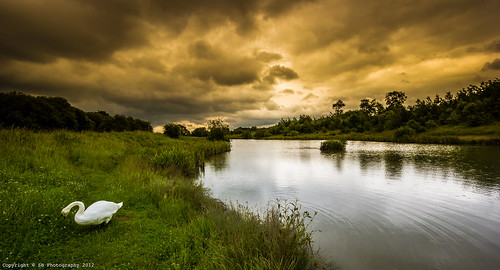uk england lake storm reflection nature water yellow clouds canon landscape swan dslr drama wellingborough