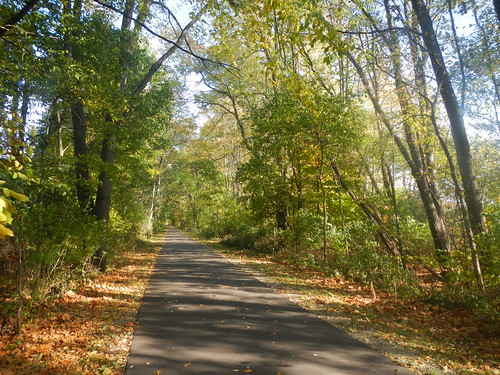 autumn trees tree fall nature nikon indiana middlebury trail coolpix pumpkinvine aw100 pumpkinvinetrail nikoncoolpixaw100 pumpkinvinenaturetrail