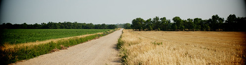 road county field wheat dirt butler kansas