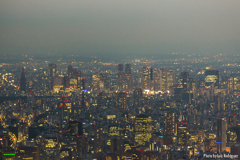 Rascacielos de Shinjuku desde la Tembo Galleria. Se ve el edificio de NTT DoCoMo, el Park Hyatt, el Gobierno Metropolitano, etc.