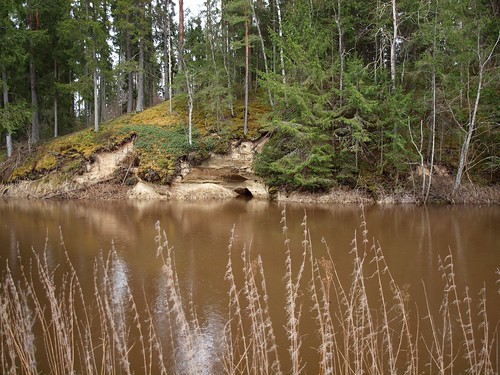 water river landscape spring scenery europe estonia baltic nettle baltics estland viro estonie maastik võhandu эстония leevaku εσθονία võhanduriver