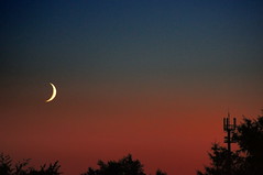 Bloody Crescent - Photo of Chevilly