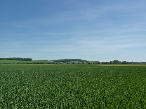 field landscape geotagged countryside paysage campagne champ aisne pouillysurserre geo:lat=49689376488147936 geo:lon=3589332161590619