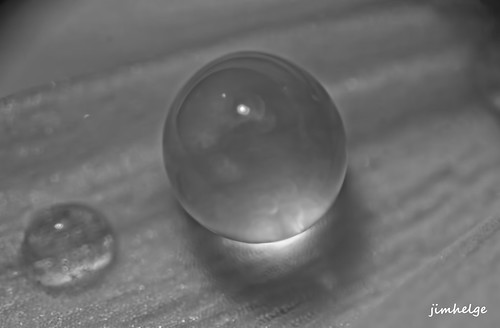 light white black flower detail macro water monochrome closeup canon circle mono globe perfect drop droplet eos550