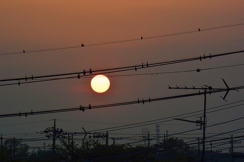 sunset test sun japan photoshop tokyo nikon sonnenuntergang review sigma cable chiba labs dxo sonne kabel topaz testshot kashiwa ft1 50500mm jepg nikon1 nikon1v3