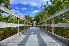 Board the walk through a swamp (Chapel Trail Nature Preserve, Pembroke Pines, FL)