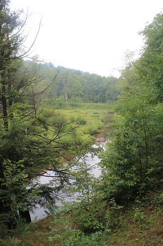 forest river marion national allegheny andyarthur
