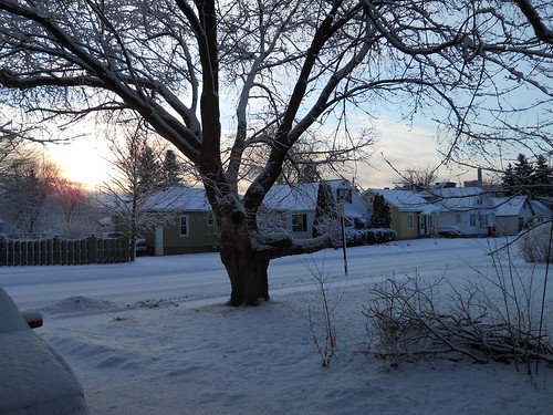 january sunrise snow street houses trees menominee uppermichigan treemendoustuesday flickr365