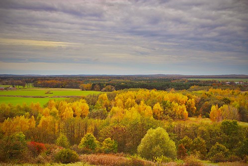 autumn berlin fall landscape day cloudy herbst landschaft spandau hahneberg
