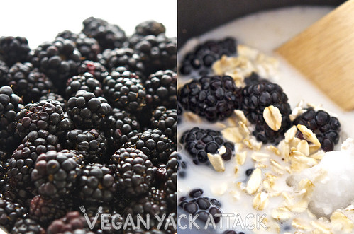With blackberries coming into season, what better way to bridge cool and warm weather with a comforting and fruity breakfast of Blackberry Cardamom Oatmeal.