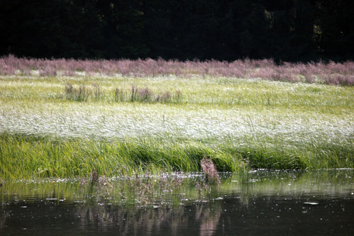 canada vancouverisland