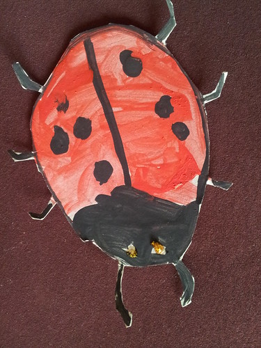 , Our Ladybird and Butterfly Gardens