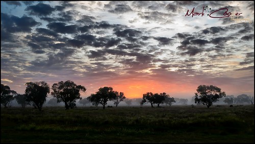 mist sunrise canon australia nsw outback 2711 hay plains murrumbidgee gof s100 hayplains haynsw markcooperphotography