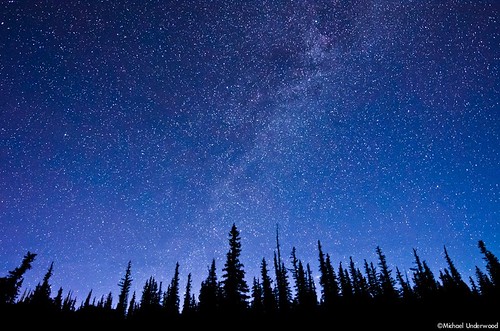 night forest stars landscape colorado astrophotography lakecity milkyway hinsdalecounty nikond7000
