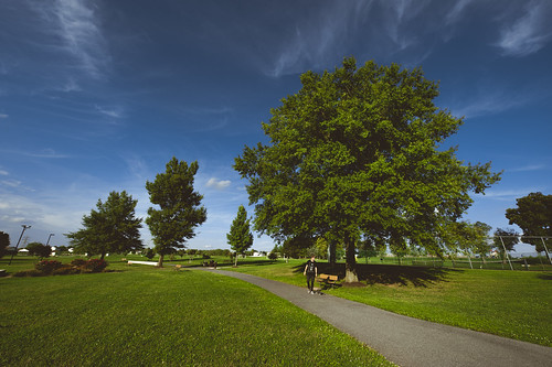 park sky tree nature clouds landscape nikon scenery scenic 14mm d700 1424mmf28ged