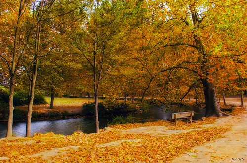 autumn landscape nikon otoño 1855mm 1855 caravaca d5100 fuentedelmarqués