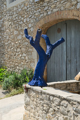 L'arbre bleu - Photo of Pompignan