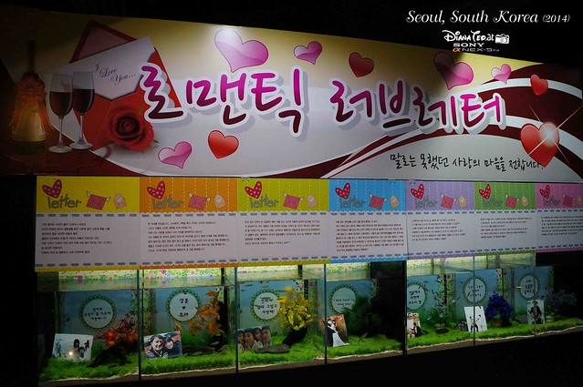 South Korea 2014 - Seoul Coex Aquarium 07