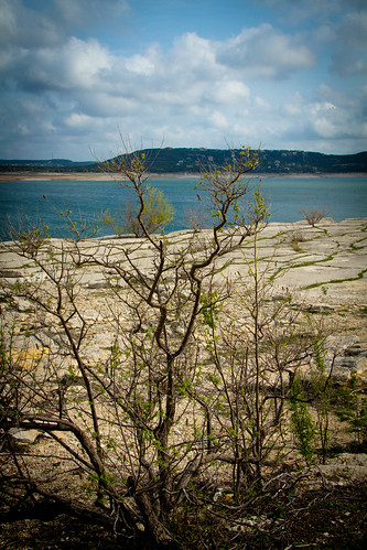usa nature water landscape march texas tx branches springbreak sensational 2012 laketravis natureplus worldtrekker
