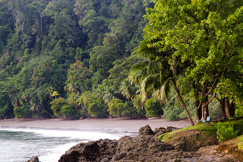 ocean trees beach bench landscape costarica corcovado osa