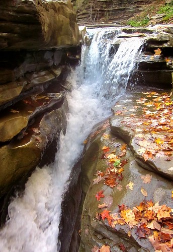 autumn water leaves creek waterfall