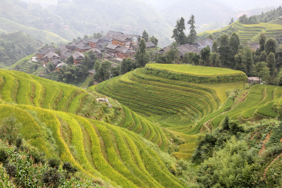 Longsheng Rice Terraces in China