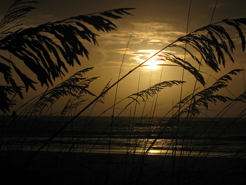 sunset beach gulfofmexico amber florida naples seaoats plume swfl