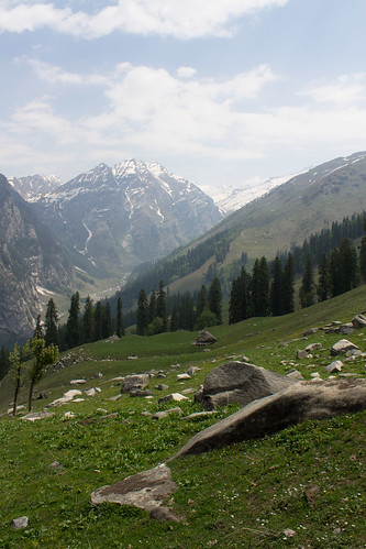 india manali himachalpradesh landskab in bjerglandskab