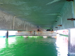 Under the jetty, FSC