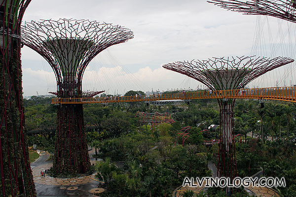 View of the other Supertrees