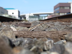 Train Tracks from Ground Level