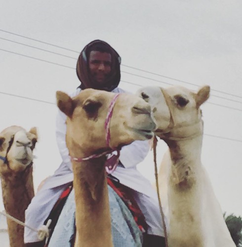 square gingham camel jockey squareformat qatar camelrace cameltraining iphoneography instagramapp
