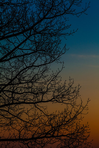 blue sunset orange usa newmexico santafe tree nature silhouette landscape photography march us photo spring colorful unitedstates branches side unitedstatesofamerica f90 photograph 100 limbs nm 2012 righthand 200mm ef200mmf28liiusm ¹⁄₂₅₀sec march282012 mabrycampbell 201203286690