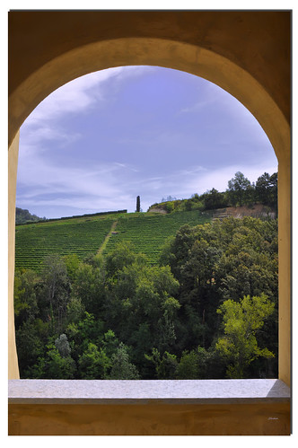 window hill finestra piemonte vineyards collina barolo ghostbuster mfcc vigneti paololivornosfriends gigi49