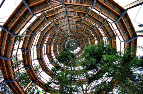 park trees snow building tree tower architecture forest lens wooden high walk top steel perspective sigma wideangle structure national wacky viewing spruce hdr msh towering bavarian edifice rectilinear towerofbabel spiralling baumwipfelpfad resembling treetower everythingscominguproses 816mm msh0513 msh05137
