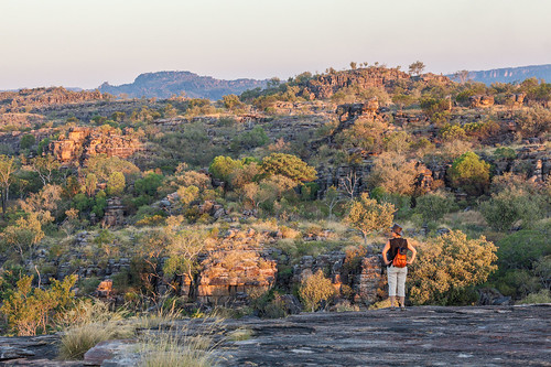 people nature nationalpark view australia lookout outback kakadu northernterritory escarpment ubirr