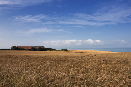 france coast corn view