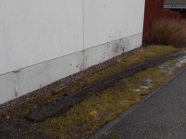Ajouratuhoa nurmikolla Espoon Leppäsillassa 20.2.2015