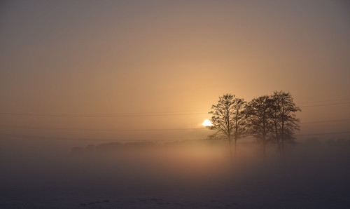 winter sunset sky sun snow tree field fog backlight germany evening twilight nikon foggy 1750 tamron d3300