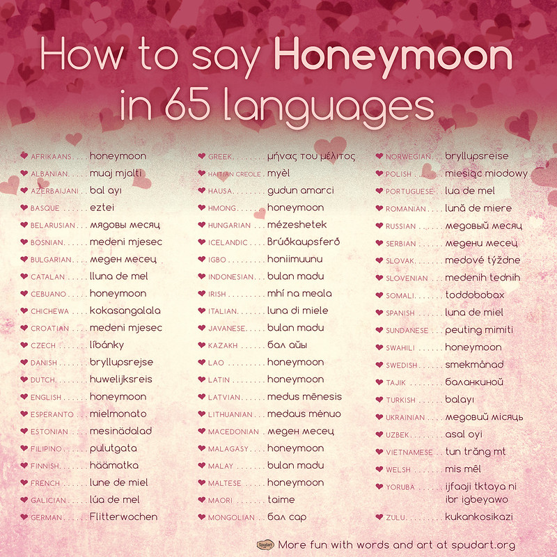 Infographic listing 65 translations of ‚Äúhoneymoon‚Äù