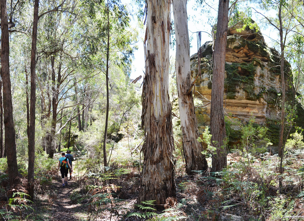 Gardens of Stone National Park - Blue Mountains