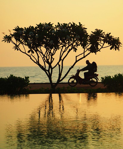 morning sea beach silhouette sunrise thailand seaside horizon frangipani huahin pranburi golfofthailand