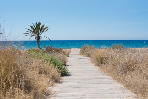 blue sea vacation sky sun holiday beach landscape outside spain sand nikon playa palm espana palmtree d750 boardwalk