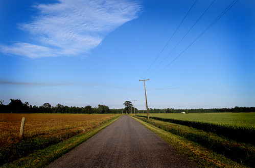road virginia country scenic