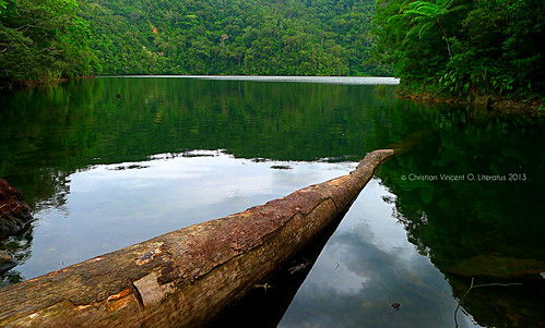 lake green nature colors beauty butterfly phil philippines lakes negrosoriental balinsasayao balinsasayaw