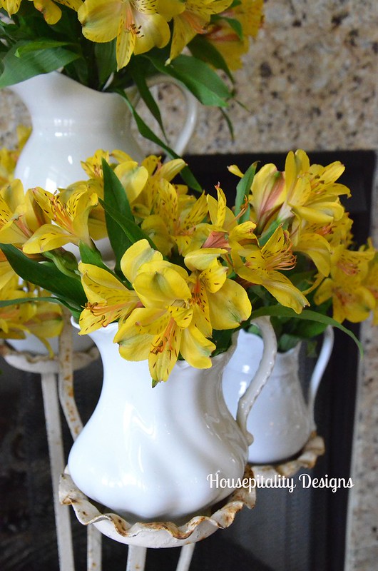 Ironstone Pitchers-Housepitalty Designs