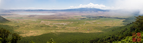 africa tanzania safari ngorongorocrater arusha ngorongoroconservationarea ngorongorocaldera tzday02 africanwildcatsexpeditions