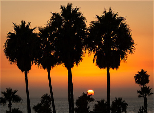ocean sunset red orange silhouette yellow palms mexico palmtrees pacificocean bajacalifornia westcoast lasgaviotas