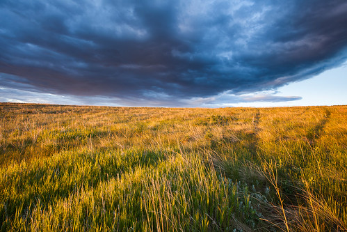 morning storm clouds sunrise golden colorado unitedstates prairie grasslands plainview jeffersoncountyopenspace
