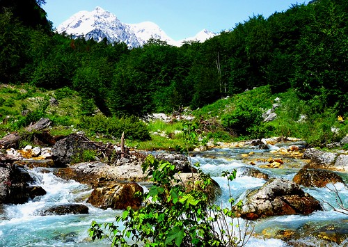 blue trees mountain colour green les contrast forest river scenery europe haines tourist balkans albania anawesomeshot dazzlingshot vividstriking leshaines valbanos